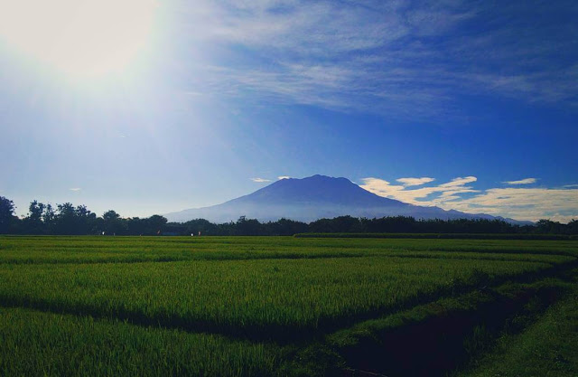 12 Mitos dan Fakta di Gunung Lawu  Eventkampus.com