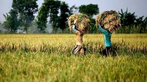 kelebihan hidup di desa yang menyenangkan