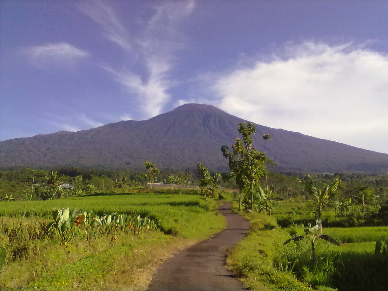 41 Koleksi Hantu Gunung Slamet Gratis