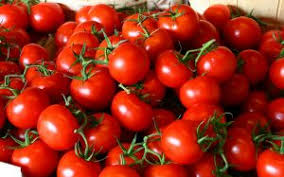 Tomat ternyata memiliki manfaat yang sangat penting bagi kesehatan
