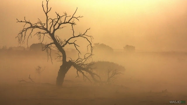 3 Musibah setiap hari