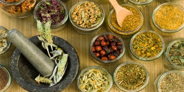 4 MACAM JAMAU YANG HARUS KAMU MINUM SETIAP MINGGU