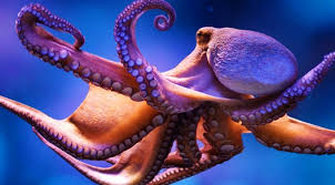 TERNYATA GURITA PUNYA 3 HATIÂ  !!!