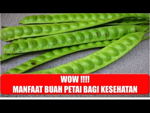 Manfaat Pete Untuk Kesehatan