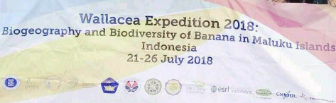 Ekspedisi Wallacea ITB-Unpatti Kembali Telusuri Keragaman Pisang Endemik Maluku
