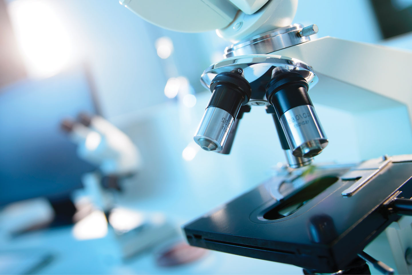 5 Alasan Kuliah di Jurusan Pendidikan Biologi Itu Penuh Petualangan