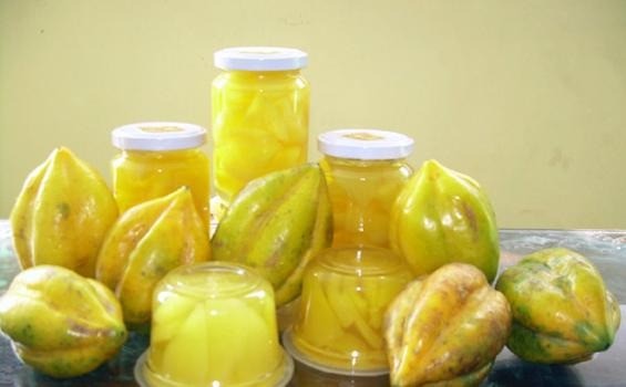 6 Manfaat Buah Carica |Buah Carica Pepaya