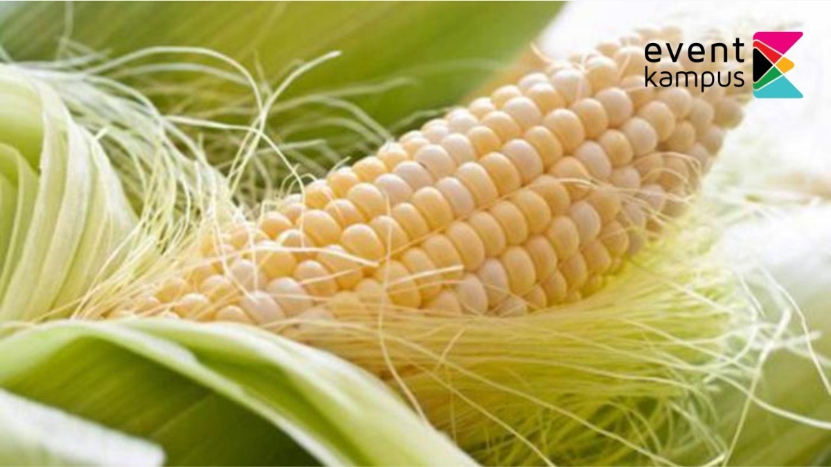 7 Manfaat Rambut Jagung yang Jarang Diketahui