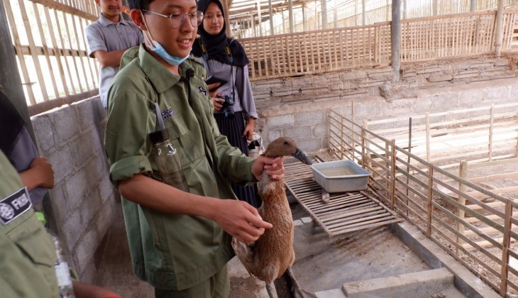 Mahasiswa Kedokteran Hewan UGM Gelar Poultry Day