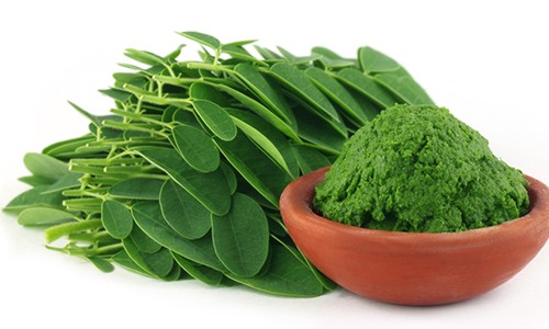 Manfaat Daun Kelor yang Jarang Kita Ketahui