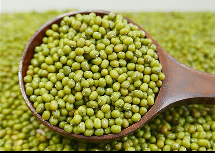 Manfaat Kacang Hijau Untuk Kesehatan Tubuh