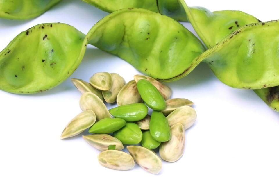 Manfaat Petai Bagi Kesehatan Tubuh