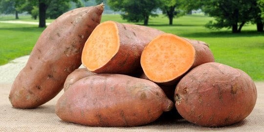 Manfaat Ubi Jalar yang Jarang Diketahui