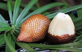 6 Faedah Buah Salak Bagi Kesehatan, No.5 Sebaiknya Berpikir lagi, Jika Tidak Menyukainya!