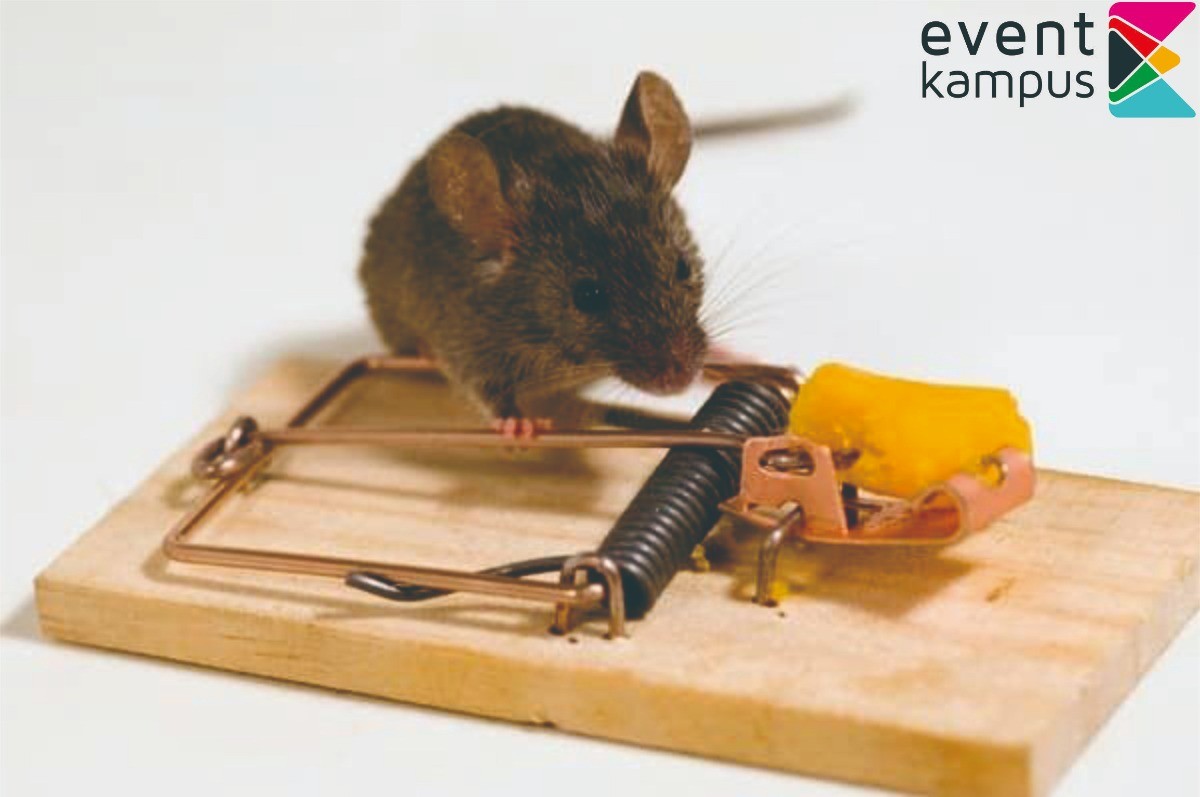 Banyak Tikus di Rumah? Berikut Cara Ampuh Mengusir Hewan Ini dari Kediamanmu