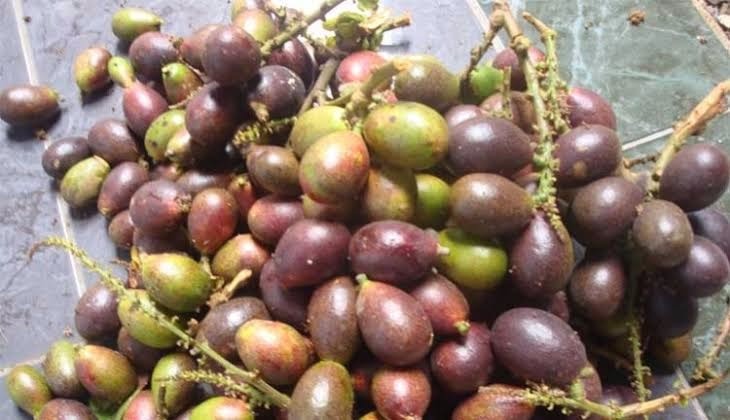 BUAH MATOA:buah yang hanya ada di daerah timuran dan memiliki banyak manfaat