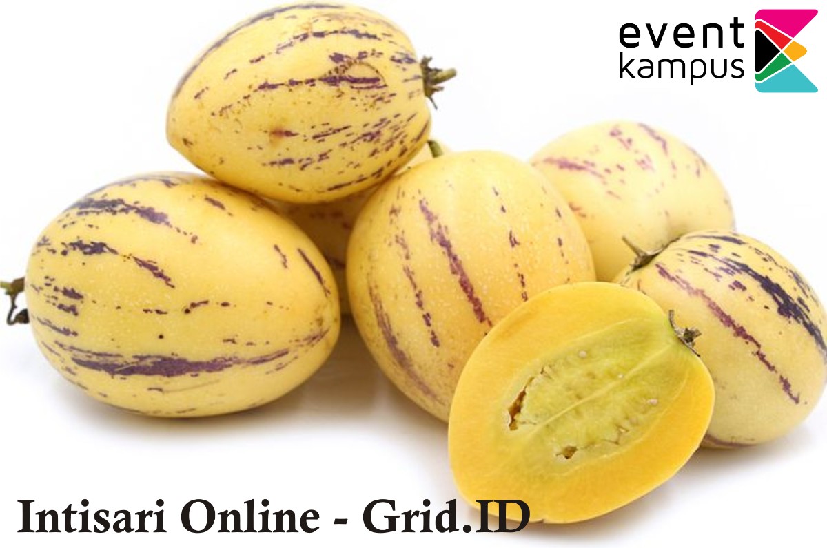 Manfaat Buah Pepino Yang Jarang Diketahui Orang