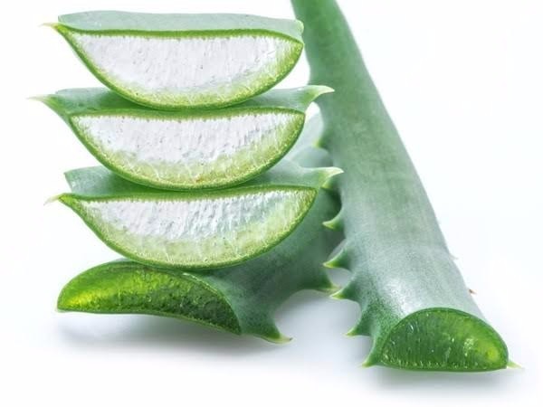 Manfaat Lidah Buaya untuk kulit wajah