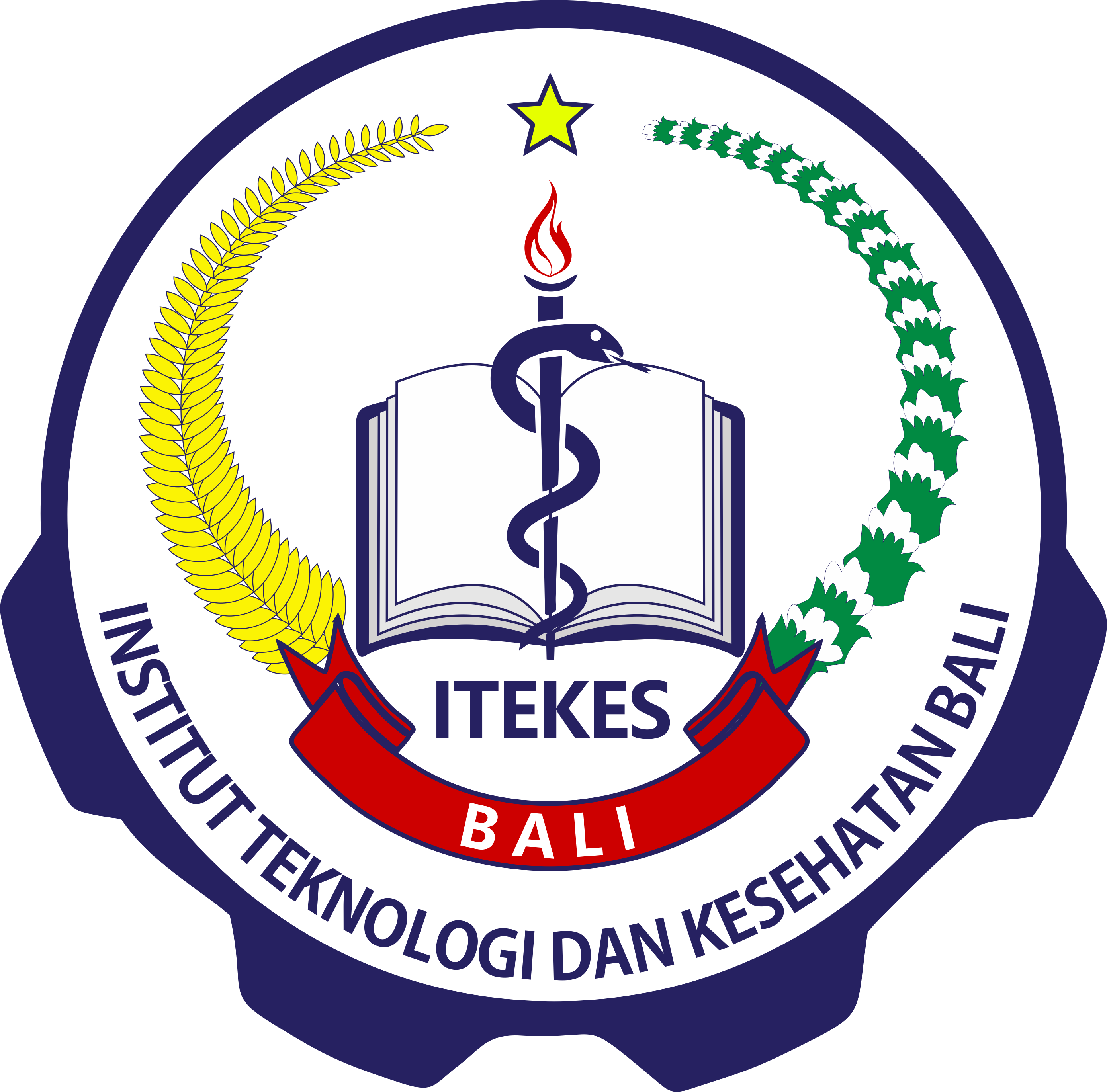 Sekolah Tinggi Ilmu Kesehatan Bali