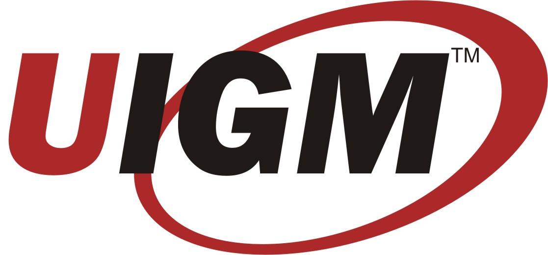 Universitas Indo Global Mandiri